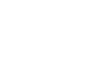 IP Paris